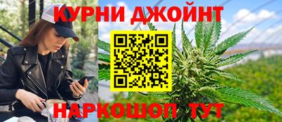 крисы Малгобек