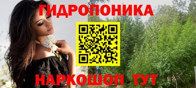 крисы Малгобек