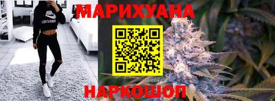 крисы Малгобек