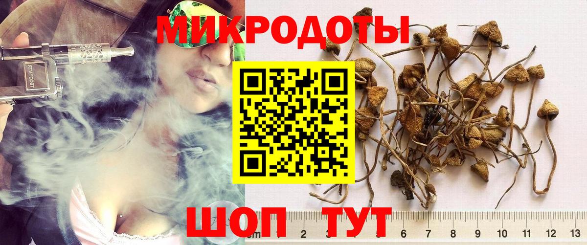 Псилоцибиновые грибы MAGIC MUSHROOMS Борзя