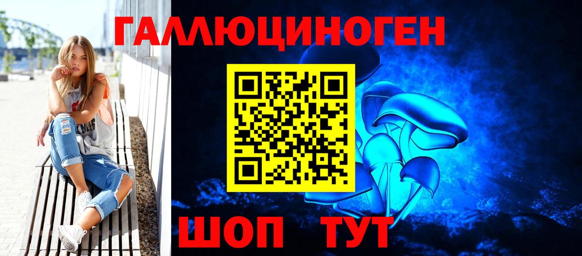 Галлюциногенные грибы MAGIC MUSHROOMS  продажа наркотиков  Борзя  Вход с VPN 